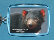 Keychain Acrylic Tasmanian Devil